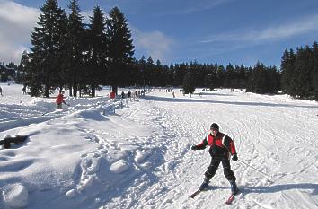 Abfahrtslauf in Oberhof