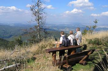 Rennsteig im Thüringer Wald