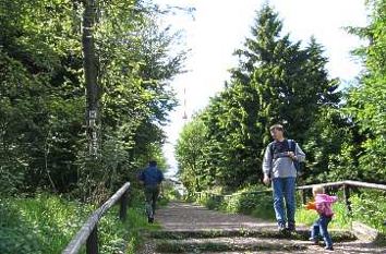 Ausflugsziele Kinder: Märchenwald