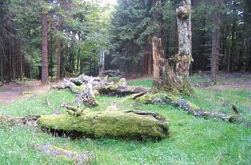 Rennsteig nahe des Possenröder Kreuzes