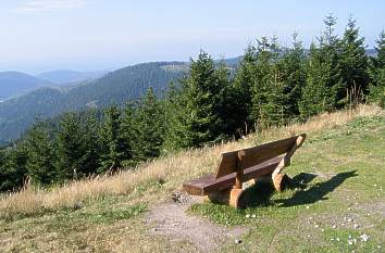 Blick vom Rennsteig