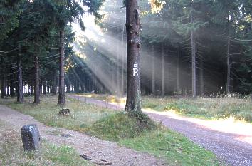 Rennsteig im Thüringer Wald