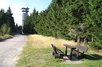 Rennsteig im Thüringer Wald