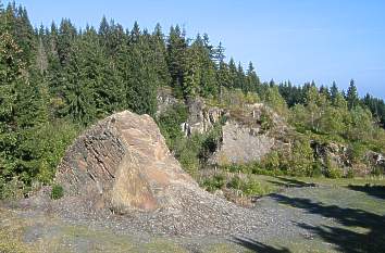 Rennsteig im Thüringer Wald