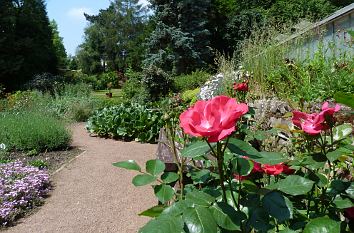 Botanischer Garten in Altenburg