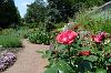 Botanischer Erlebnisgarten Altenburg