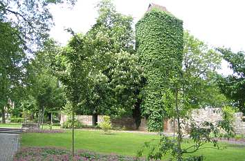 Arboretum in Bad Langensalza