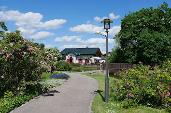 Rosengarten in Bad Langensalza