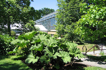 Botanischer Garten in Jena