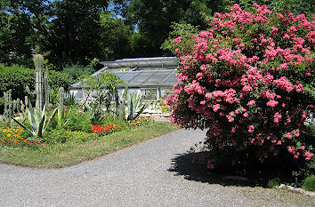 Botanischer Garten Jena