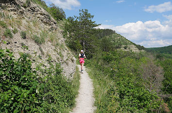 Saalehorizontale am Hummelsberg in Jena