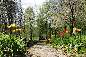 Frühling