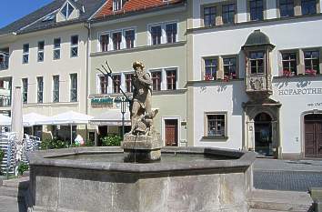 Marktbrunnen + Hofapotheke Weimar