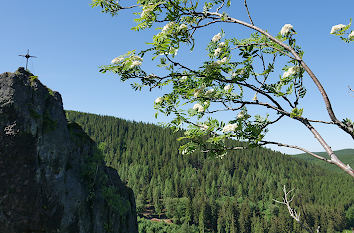 Falkenstein von Hinten