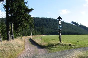 Urlaub im Thüringer Wald