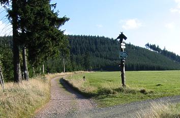 Rennsteig im Thüringer Wald