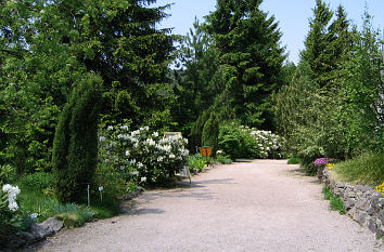 Rennsteiggarten in Oberhof