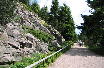 Weg zum Rhododendronpark