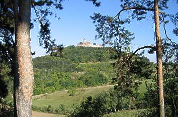 Blick zur Wachsenburg