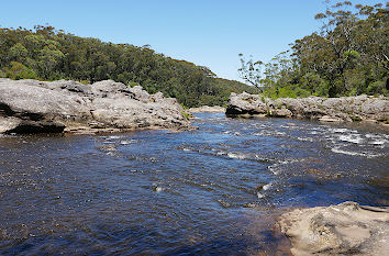 Carrington River in New South Wales
