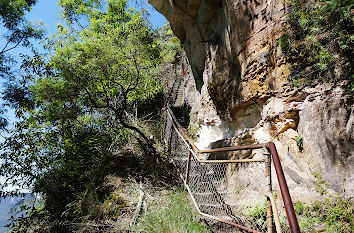 Giant Starways Blue Mountains Australien