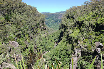Carrington Schlucht in New South Wales