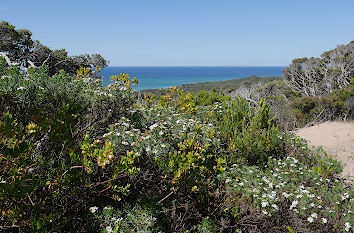 Point Nepean Nationalpark bei Melbourne