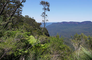 Blaue Berge bei Sydney