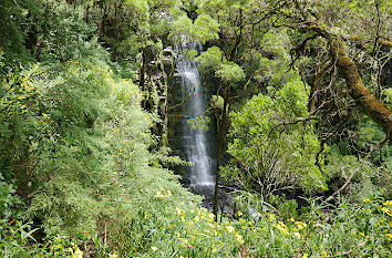 Wasserfall an der Great Ocean Road