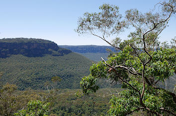 Blue Mountains bei Sydney