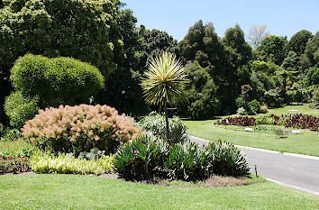 Royal Botanical Gardens in Melbourne
