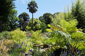 Royal Botanical Gardens in Melbourne