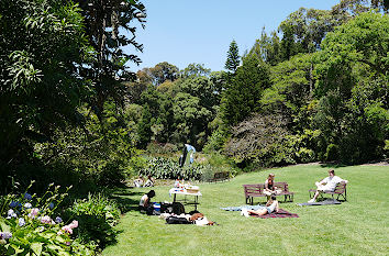 Royal Botanical Gardens in Melbourne