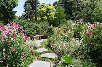 Royal Botanical Gardens in Melbourne