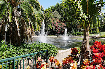 Wasserspiele Botanic Gardens Down Town Brisbane