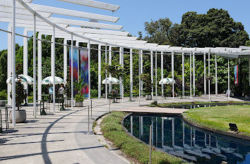 Calix in Royal Botanic Gardens Sydney