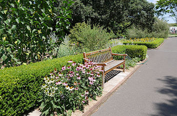 Heckengarten botanischer Garten Sydney