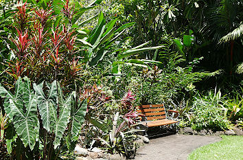 Botanischer Garten Cairns