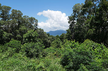 Mount Lumley Hill in Cairns