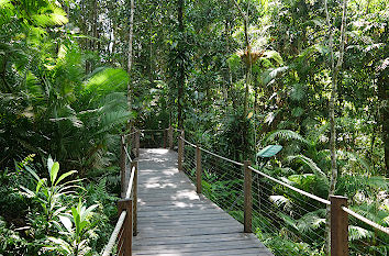 Lehrpfad Regenwald Station Seilbahn Kuranda