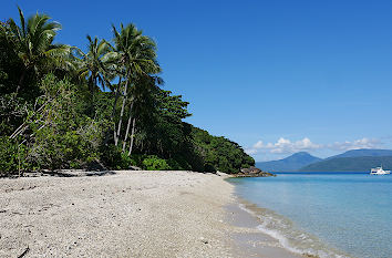 Strand Fitzroy Island