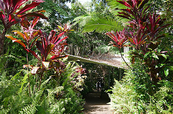 Gartenanlagen in Kuranda