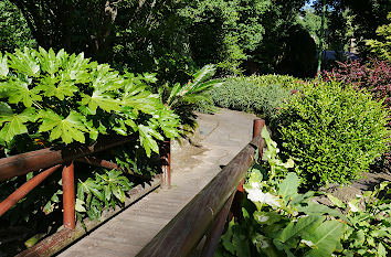 Fitzroy Gardens in Melbourne