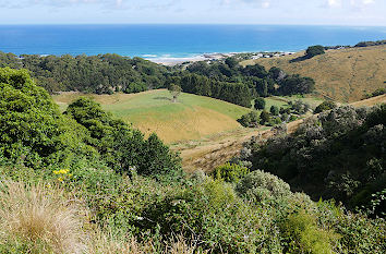 Australische Küste bei Skenes Creek