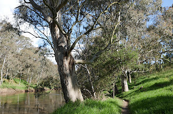 Yarra River in Melbourne