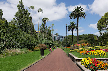 Albert Park in Auckland