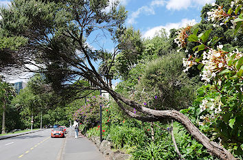 Bowen Avenue in Auckland