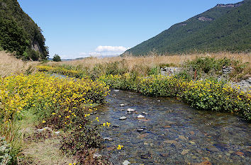 Fjord National Park Neuseeland