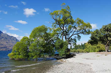 Weide am Lake Wakatipu in Neuseeland