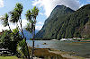 Milford Sound in Neuseeland